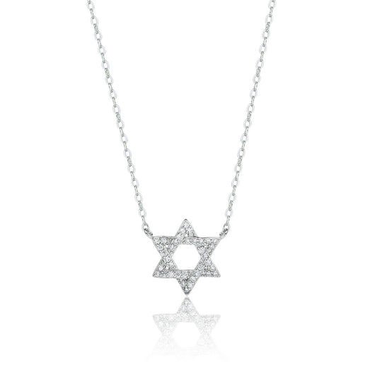 שרשרת ZSI473-1